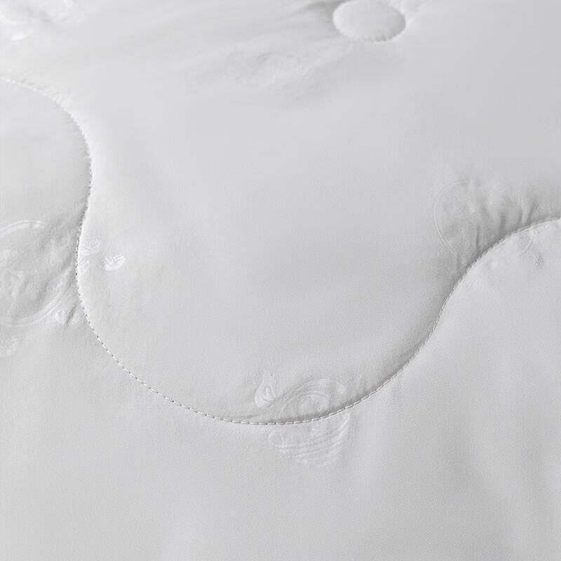 Softnie Lan Yue Mulberry Silk Quilt