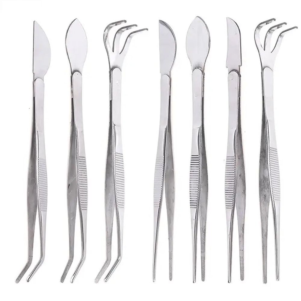 Handheld Stainless Steel Root Rake Mini Gardening Rake Bonsai Tweezers  Potted Plants