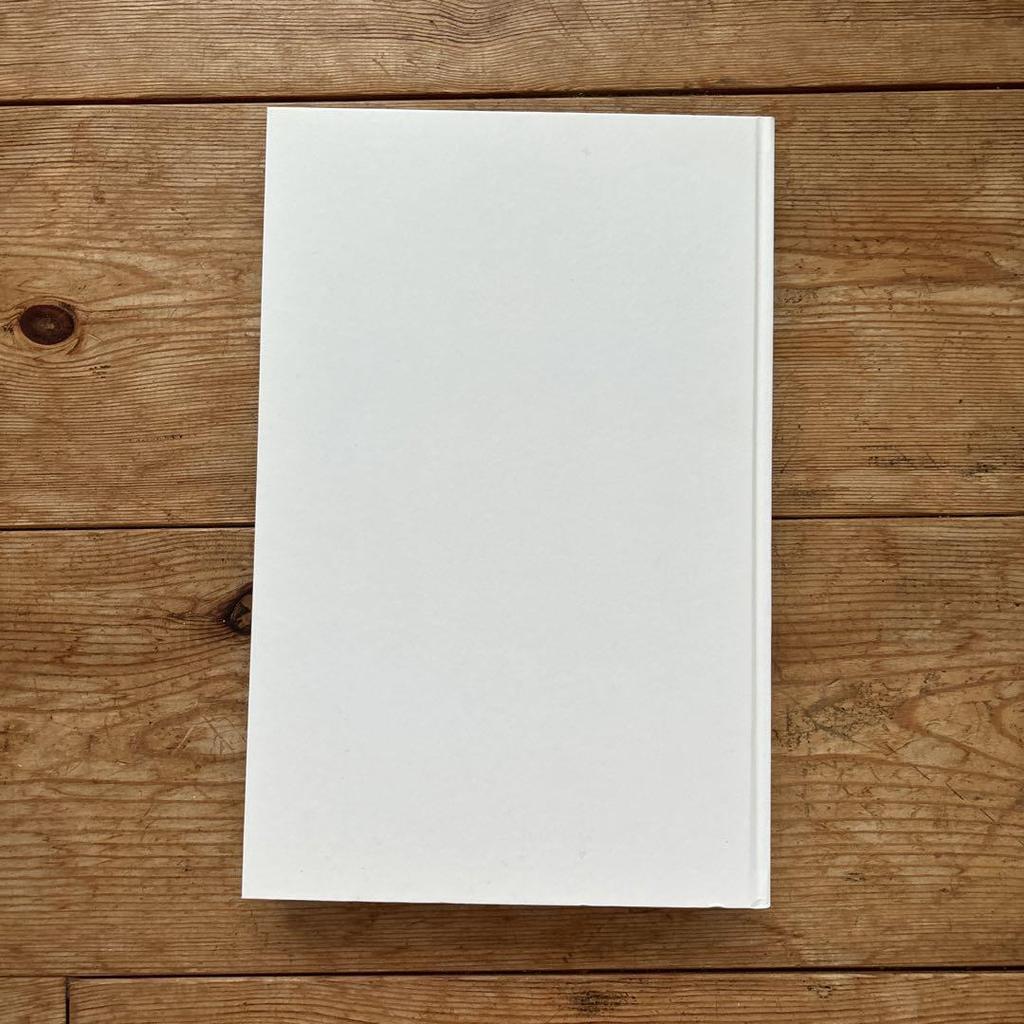 [USED] PICASSO AND HIS TIME Art Book