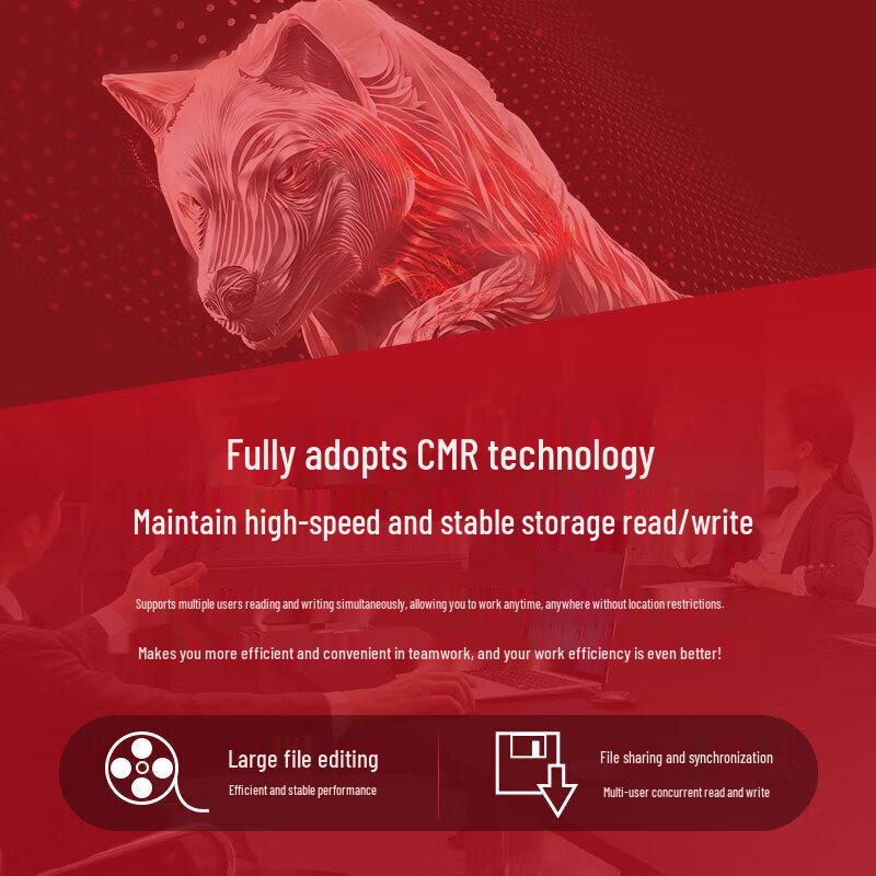 Seagate IronWolf Pro NAS Hard Drive