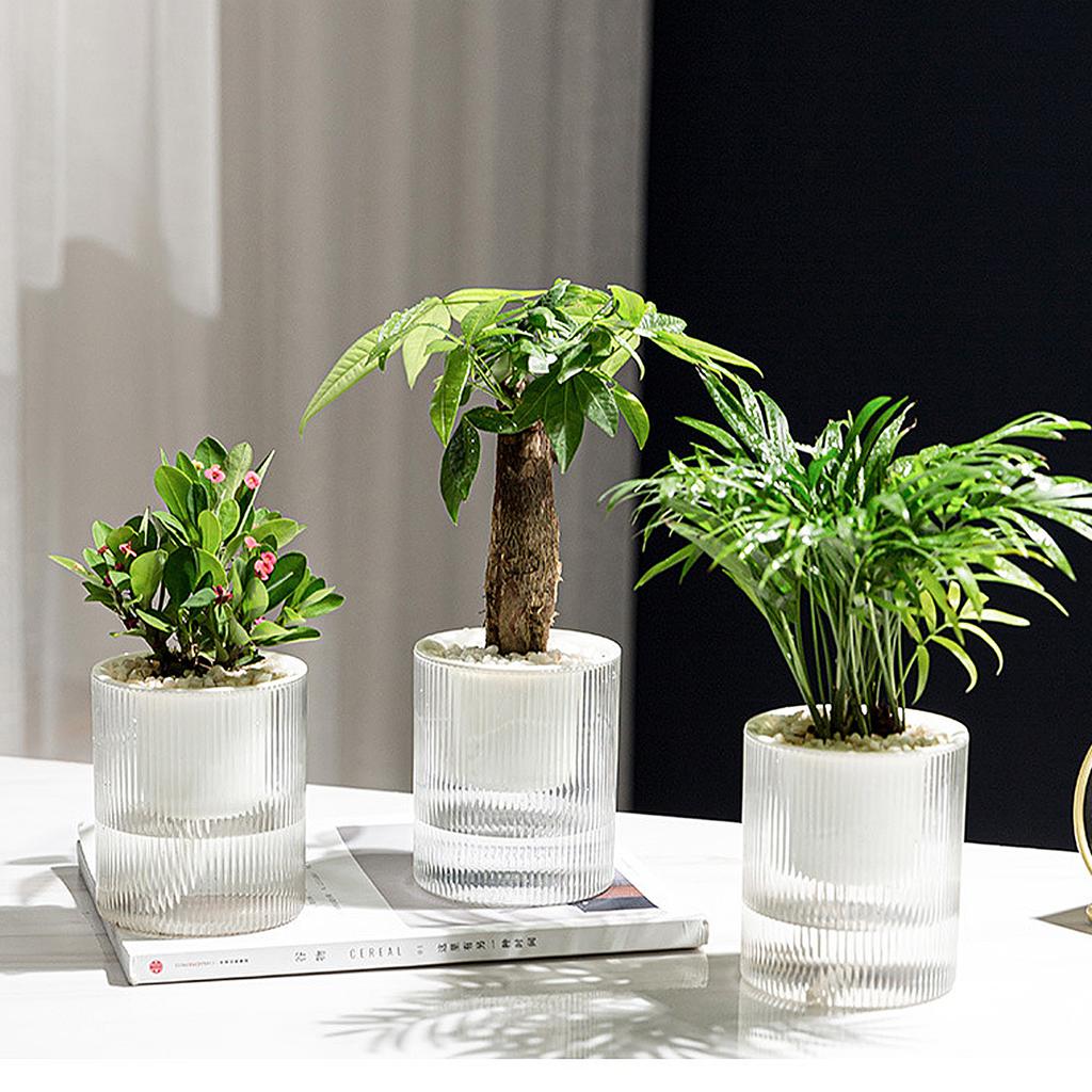 Automatic water absorbing lazy pot resin creative potted green ivy hydroponic plastic round flower pot 10cm PET+PP