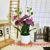 Artificial Phalaenopsis Flowers Decorative Plant For Home And Decoration Event