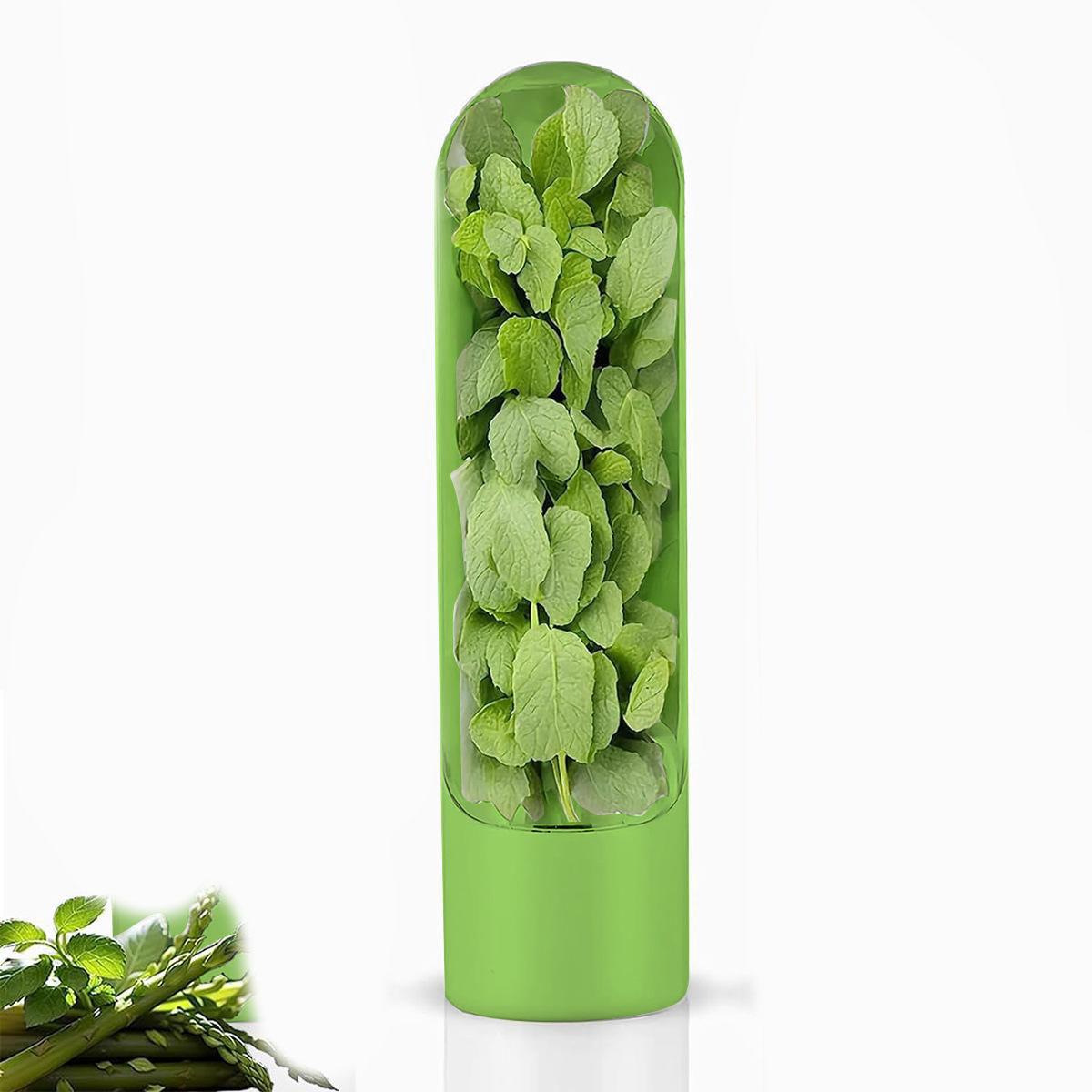 

Холодильник. Контейнер для хранения трав. Бутылка для консервирования овощей. Храните зелень, кинзу, мяту, петрушку, спаржу, свежую зелень. 6.5*6.5*24.5 cm зелёный