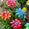 3D Flowers Garden Stake Decorations Metal Floral Stake Outdoor Yard Lawn Ornament Flowerpots Stick Ground Insert Garden