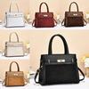No Ip Ladies Handbag With Pu Material For Daily Commuting And Office Use