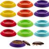 Pack of 12 Small Invertebrate Feeding Bowls Cockroach Food Bowls YYH69