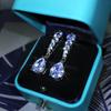Sterling Silver Wild Korean Temperament Simple Atmosphere Flashing Zircon Earrings Female Long Ladies Luxury Party Birthday
