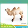 Wildtier-Tiermodell-Set PVC Kamel Giraffe Pädagogisches Sammlerstück für Kinder Natur lernen