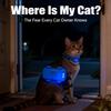 4G GPS Cat Dog Tracker Global Real-Time Pet Locator with SIM, WiFi Home Mode, Geo-Fence Alert, Lost Pet Finder, 10+ Days Battery