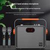 Newmine K510 Portable Bluetooth KTV Speaker CN Plug (adapter Included)