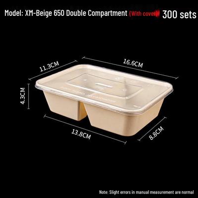 ZISIZ Einweg-Lunchbox mit 2 Fächern