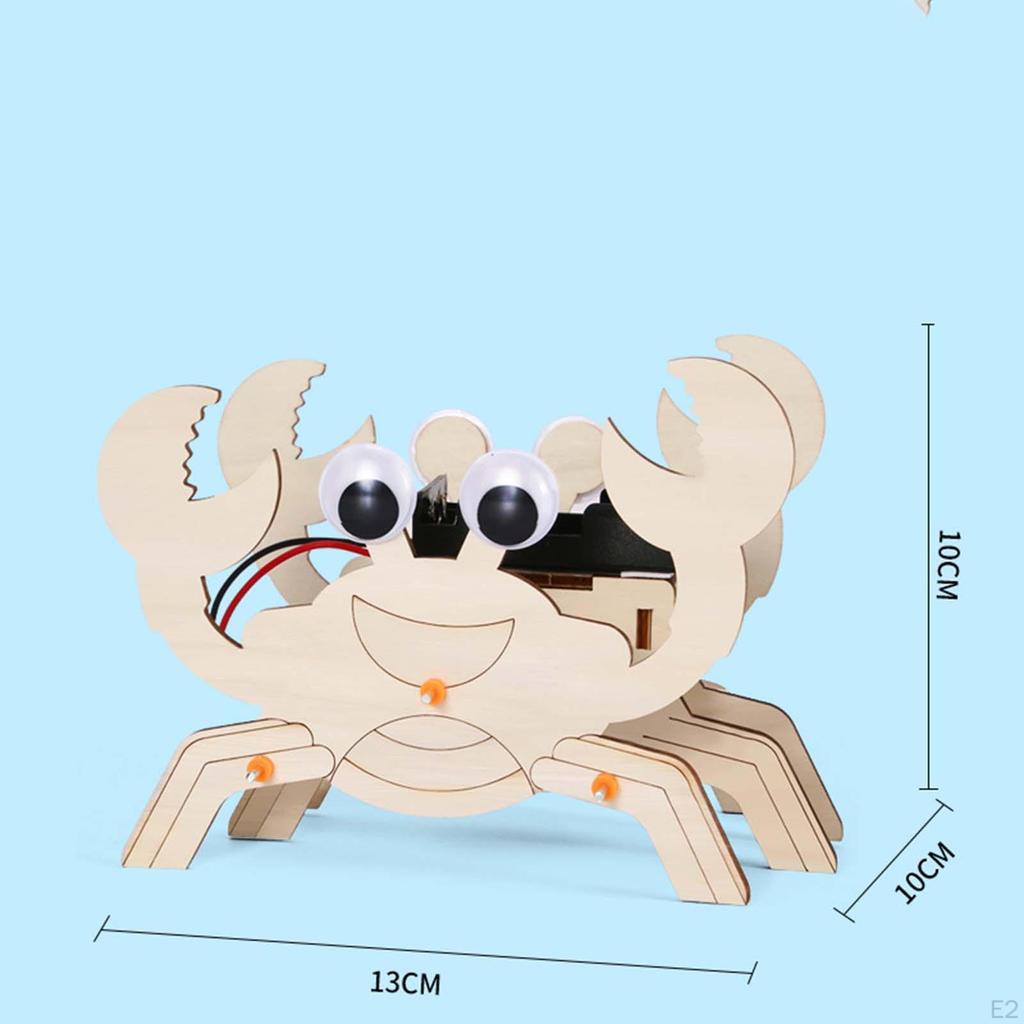 Project Model Educational Technology Assembled Electric Animal Scientific Experiment Equipment Set