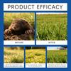 Mole Ball High-Efficiency Mole Effectively Mole Population In Gardens Reduces Mole Population Long-Term Effective Mole.