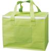TRUSCO Nonwoven Insulated Bag, Green, HHB-GN, 10 Cases