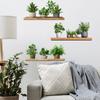 Painted Green Plants Potted Plants Shelves Bedroom Living Room Home Background Beautification Decorative Wall Stickers