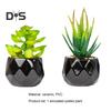 Artificial Plant Reusable Realistic PVC Fresh Keeping Easy Care Artificial Succulents Bonsai