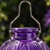 Handmade Glass Nectar Feeder Outdoor Easy to Refill for Bird Watchers,