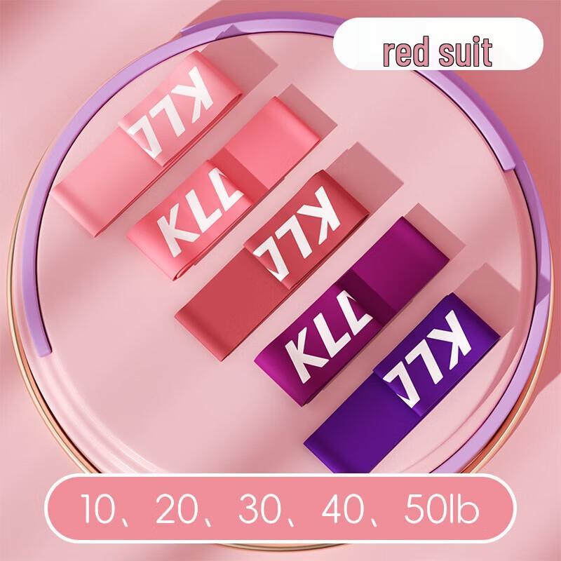 WEZHO Resistance Band Set