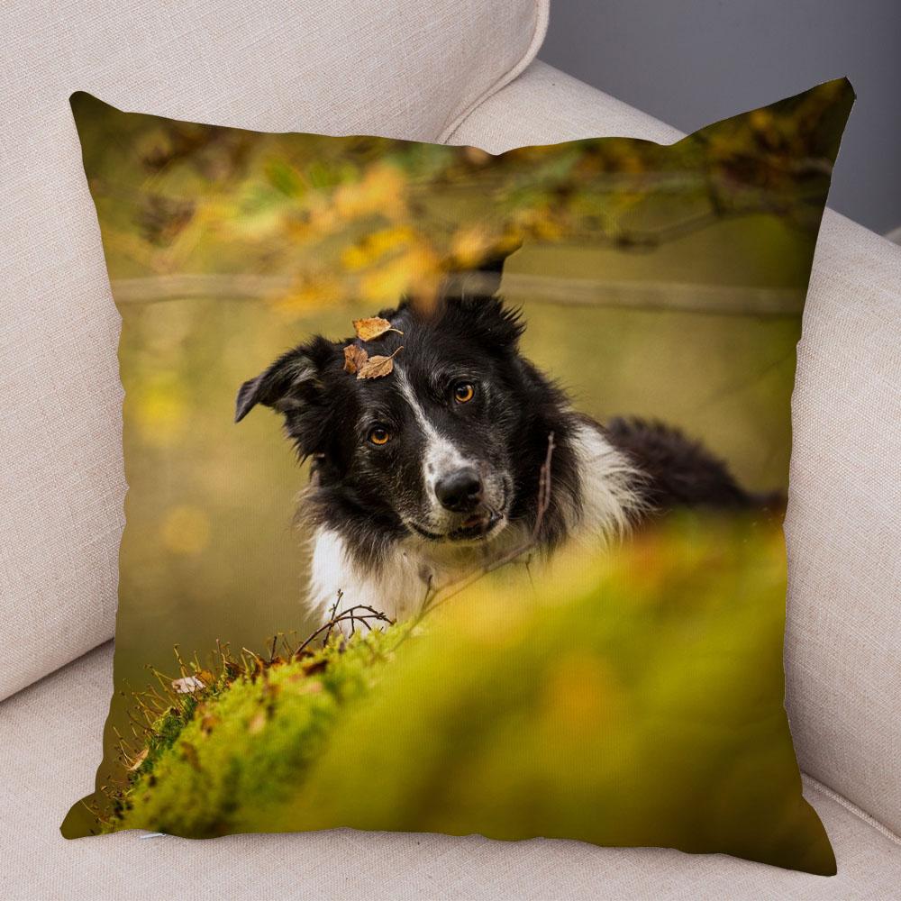 Cute Pet Animal Dog Print Pillowcase Scottish Border Collie Cushion Cover  Sofa Car Decoration