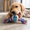 Dog Rope Toy with Tennis Ball for Chewing and Teething - Interactive Cotton Pet Toy for Small Dogs, Boredom and Play