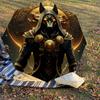 1PC Anubis Egyptian Umbrella-8-Rib Reinforced, Automatic Open, Lightweight & Durable, Cute Fashion Accessory for Outdoor, Beach or Casual Use, Beach U