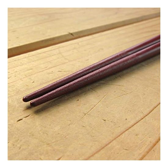 Nagao Chopsticks and Chopsticks Case Set, 23cm, Gold Double-Line Design, Vermilion, Wood, Made In Ja