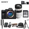 Sony Aparat foto mirrorless full-frame Alpha 7 V (Versiunea CN)