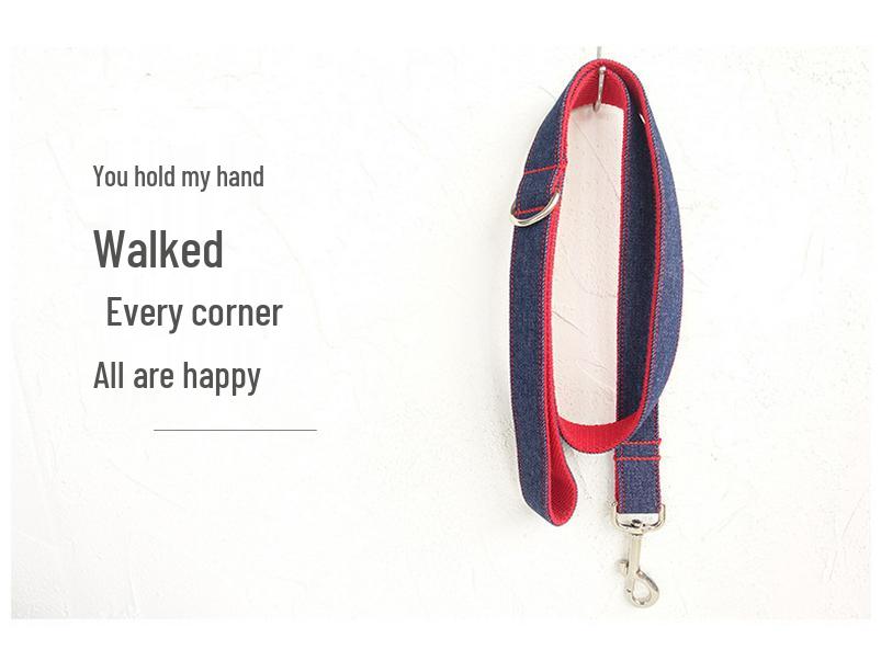 Custom Denim Blue Dog Leash - Innovative Pet Supplies