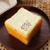 Slow Rising Simulated Bread Toast Squeeze Moist Thick Sensory Fidget Toy  Adults