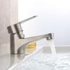 MDNG 304 Stainless Steel Single Cold Basin Faucet