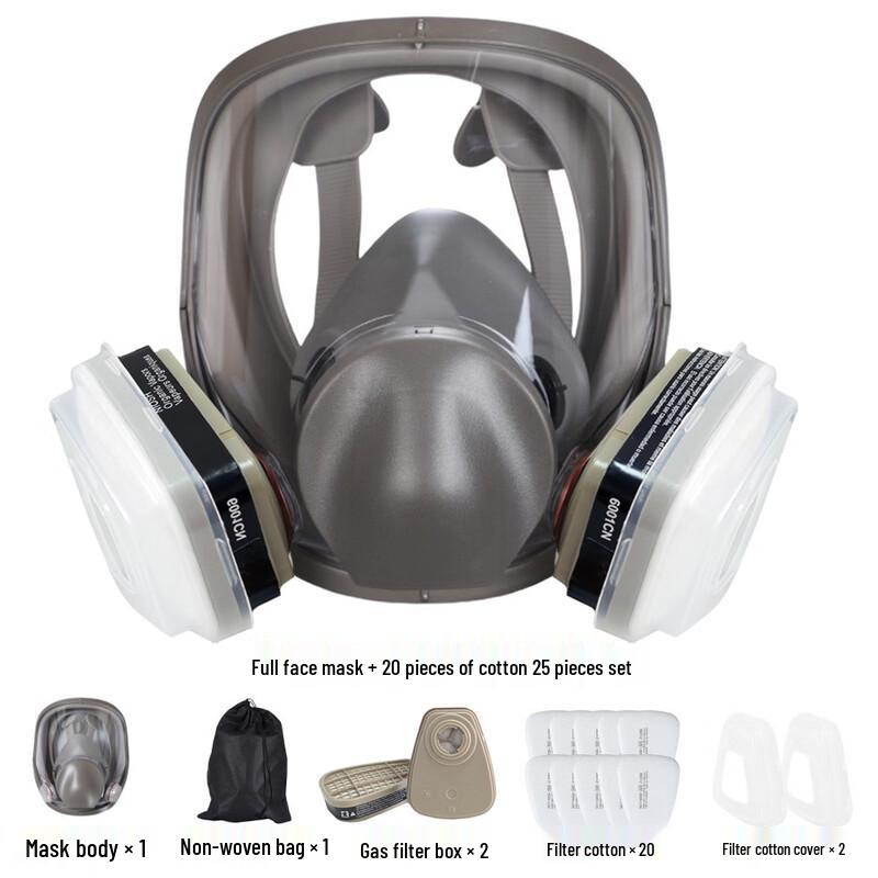 DAXTE Full Face Respirator Mask