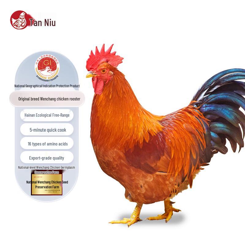 Tan Niu Hainan Wenchang Chicken