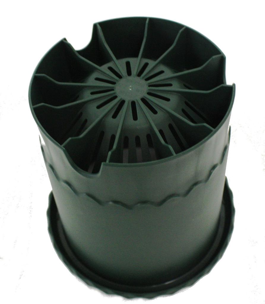 Richelle Rose Pot No. 6 Dark Green