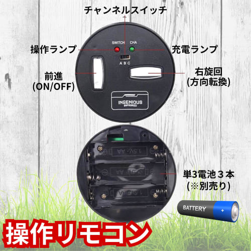 [Just like the real thing! Realistic movements!] Radio-controlled insect stag beetle set, 2 assorted species, rechargeable. [Gift/Easy to use/Compact]