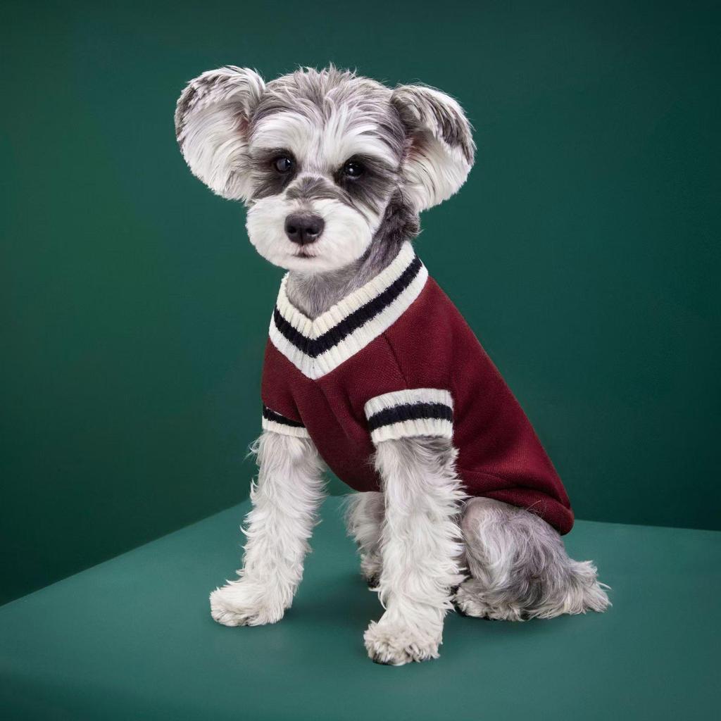 New Knitted V-Neck College Style Vest for Dogs - Autumn/Winter Fashion for Teddy & Pomeranian