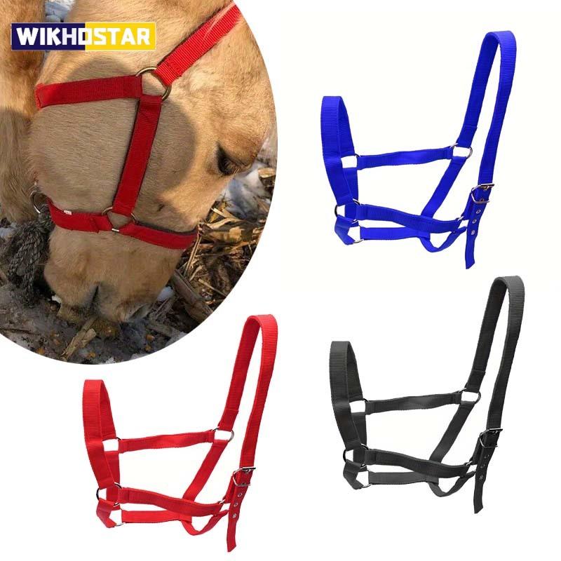 Professional Adjustable Horse Halter Equestrian Bridle Headcollar Ideal for Horse Training and Outdoor Riding