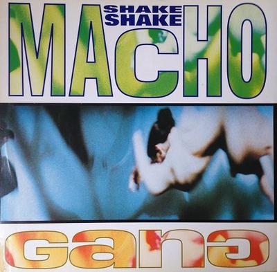 12inch Record MACHO GANG - Shake Shake TRD1204 Time Records 1991 Italy Dance & Electronica Used
