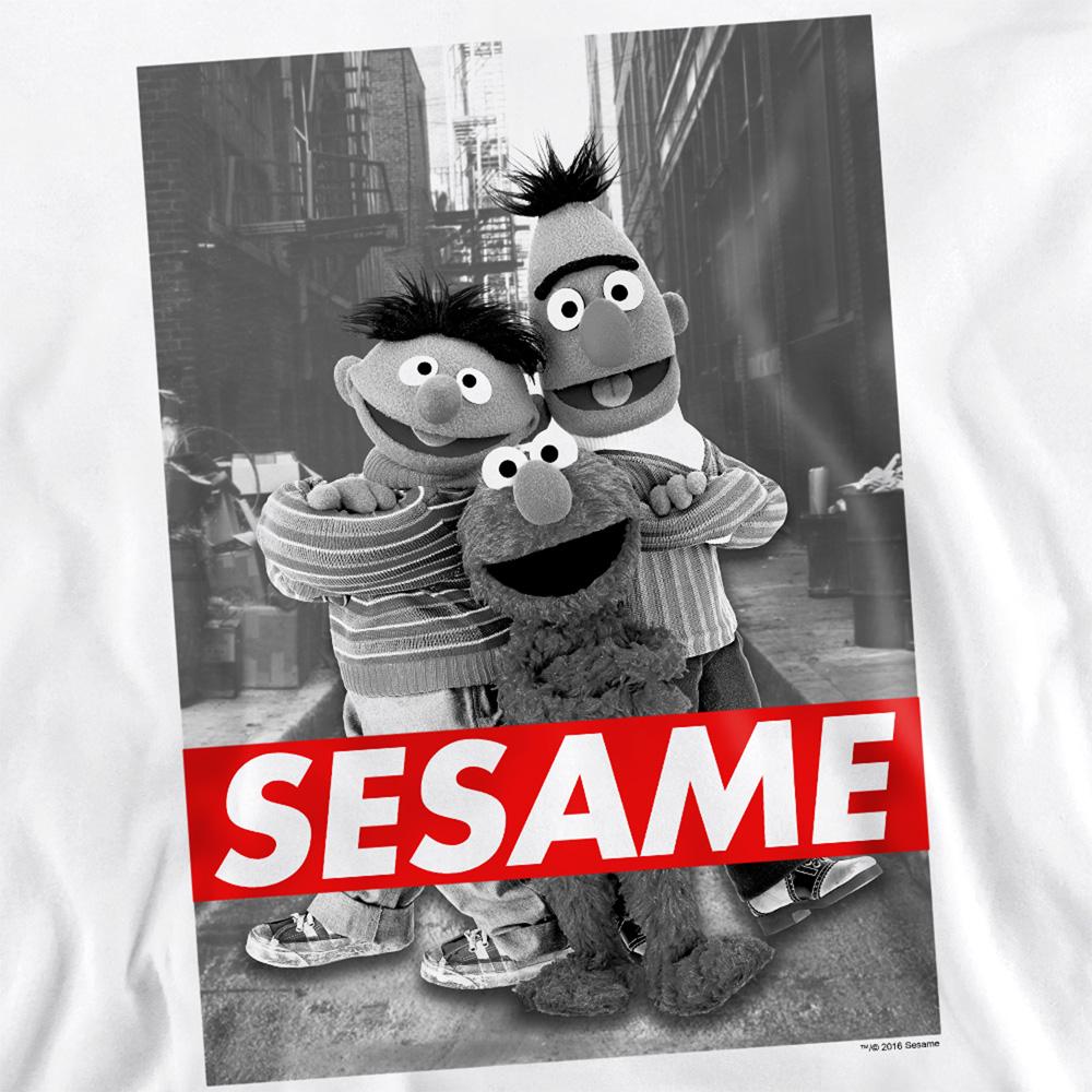 Sesame Street Unisex Adult Sweatshirt