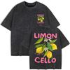 Üst giysisi – T-shirtler