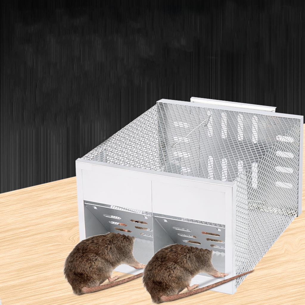 Humane Rat Trap Live Chipmunk Cage Trap For Indoor And Outdoor Small Rodent Animal Mouse Vole Chipmunk Hamsters Live Cage Catch And Release