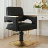 Chaise de coiffure rotative à 360° Divit IG29 chaise de salon réglable simili cuir acier inoxydable noir