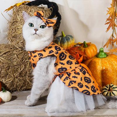 Katzen – Kleidung für Katzen