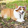 Breathable Corduroy Headwear Dog Baseball Cap, Cat Summer Beach Visor Hat with Ear Outdoor Camping Pet Holes, Adjustable Puppy Sunbonnet Headdress for