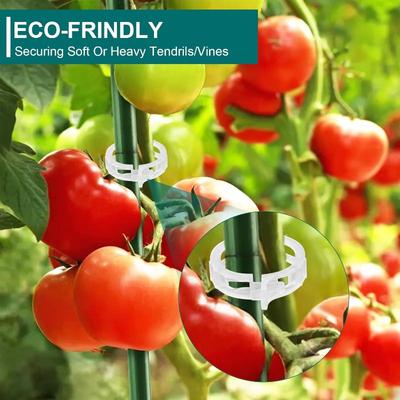 500/50Pcs Plastic Plant Support Clips Reusable Plant Vine Protection Grafting Fixing Tool for Vegetable Tomato Garden Supplies