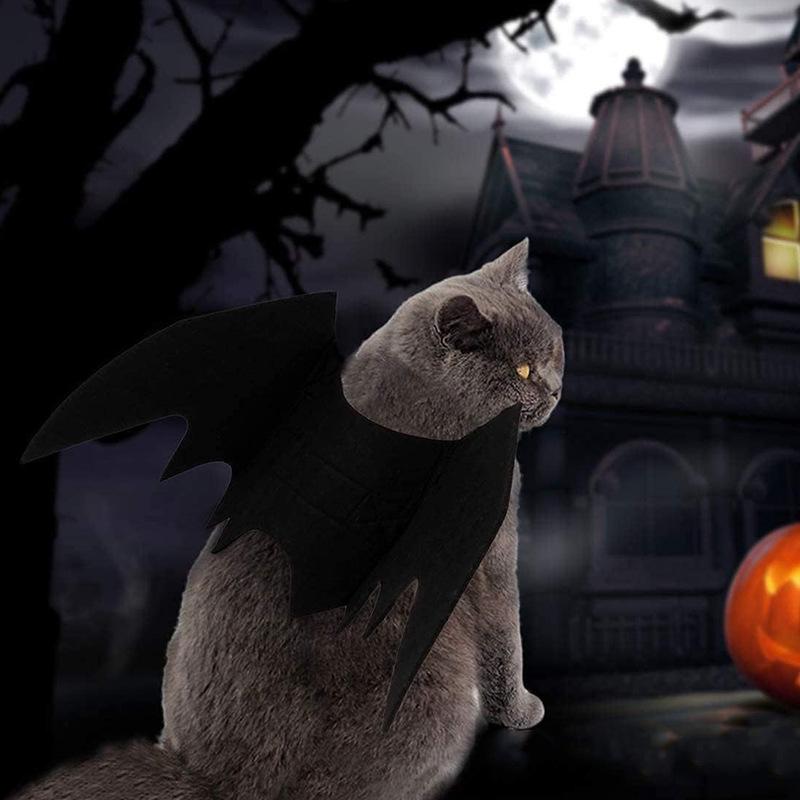 Pet Halloween Costume: Cat/Dog Bat Wings Harness, Black, European & American Style