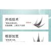 Bonnie Wisp - Spikes Multipack Falsche Wimpern Cluster