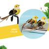 12pcs Small Fake Birds for Crafts,   Bird Figures Cute Animal Model  Ature Bird Figurines Tiny Bird Figurines Tree Binding Artificial Bird Decor
