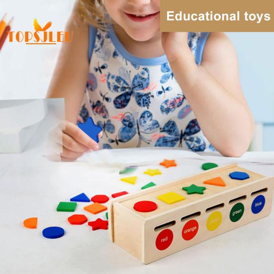 1 Set Color Sort Toys Shape Pairing Puzzle Set Cognition Ability Multifunctional Color Sort Toys for Toddlers
