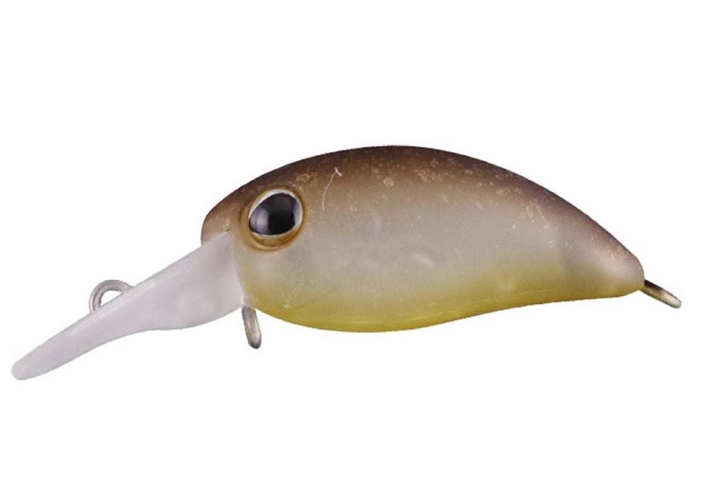 Leurre Jackall Timon Chibi Panicra SR SS 25mm (Shobokure Glow) – Fluo, Coulant