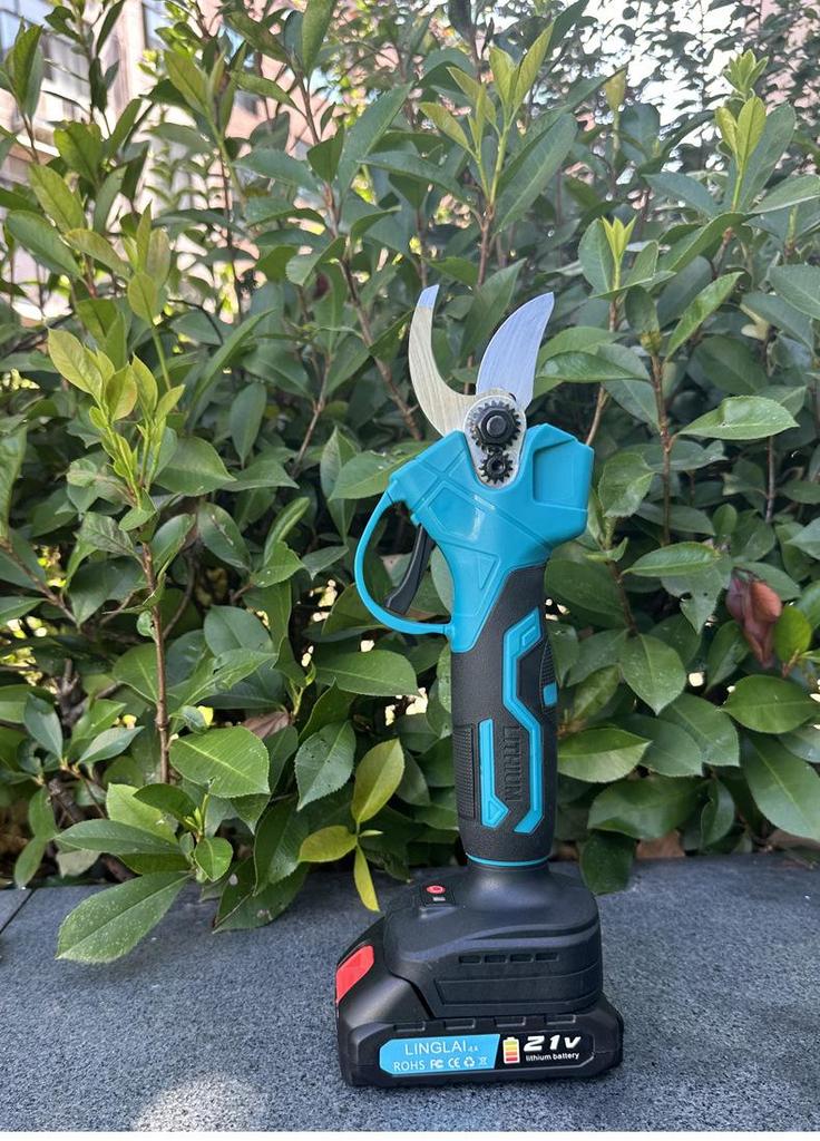 Divine Tool Telescopic Electric Pruning Saw with Lithium Battery for High Branches and Fruit Trees.